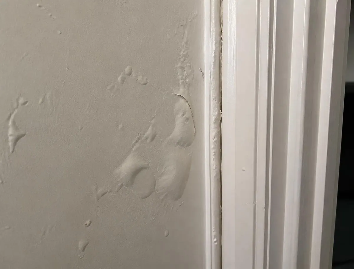 Paint that bubbles or ripples for no clear reason, a sign checked during termite inspections