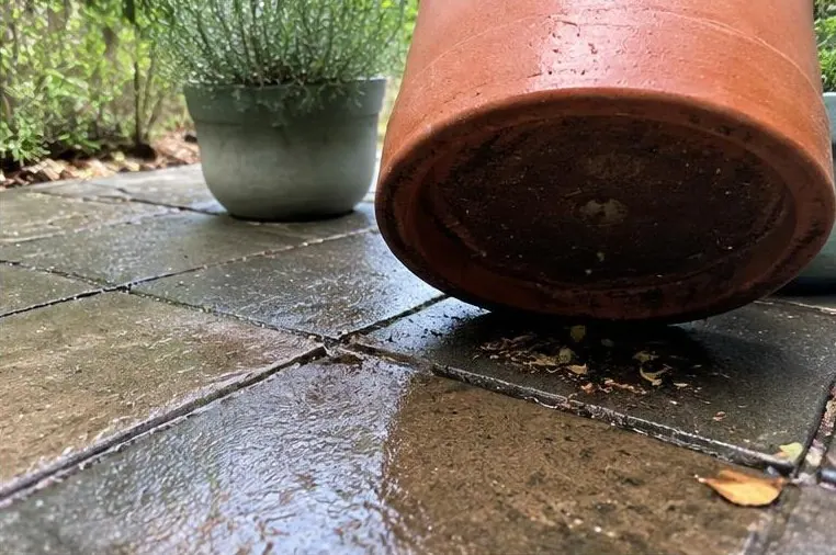 Damp paving beneath an overturned garden pot