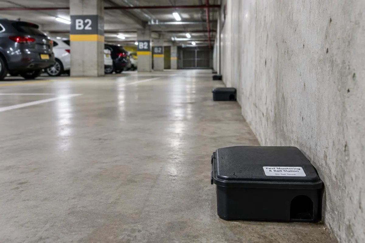Rodent activity in the car park or basement, a sign checked during strata pest control