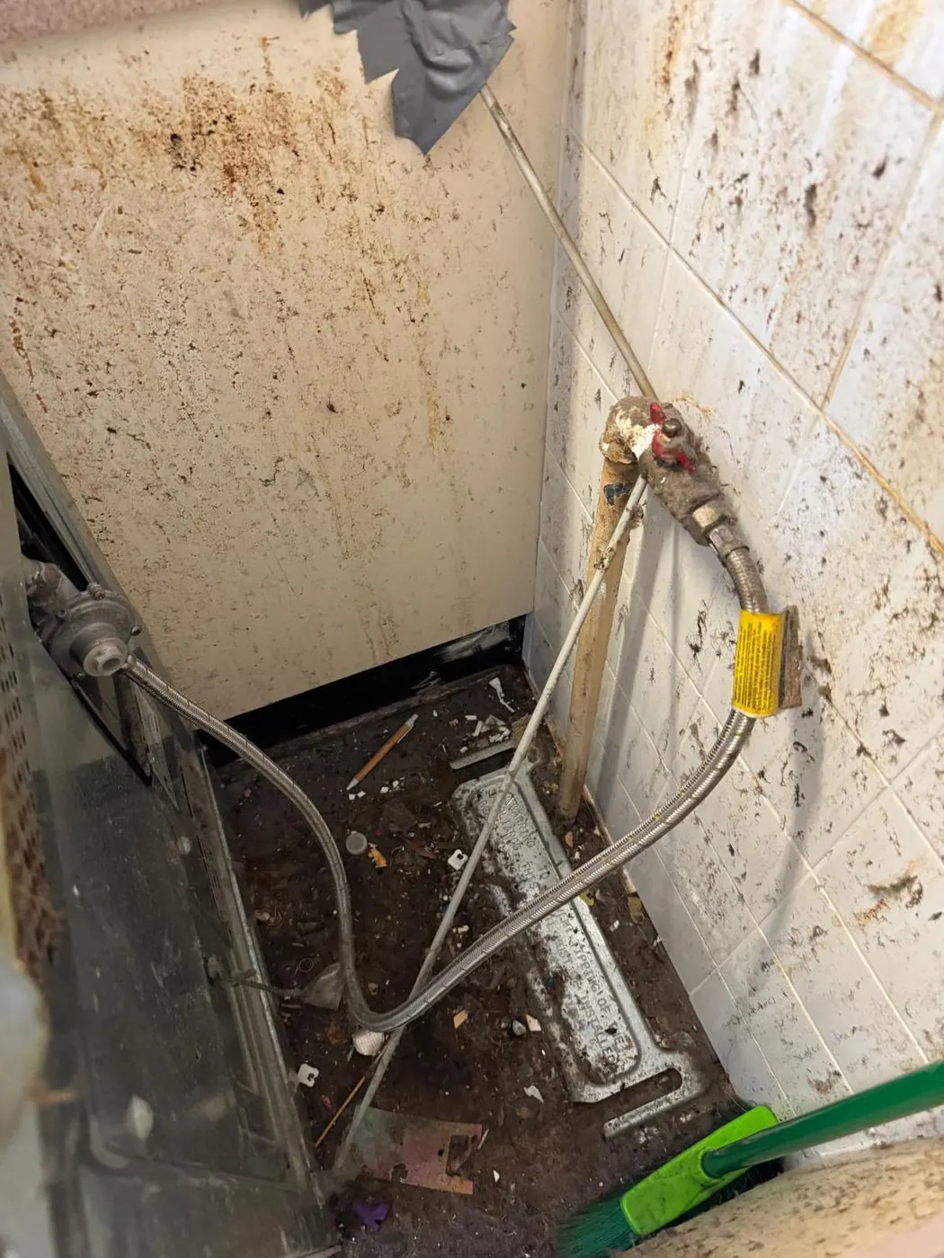 Heavy cockroach activity found behind an appliance in a Sydney laundry