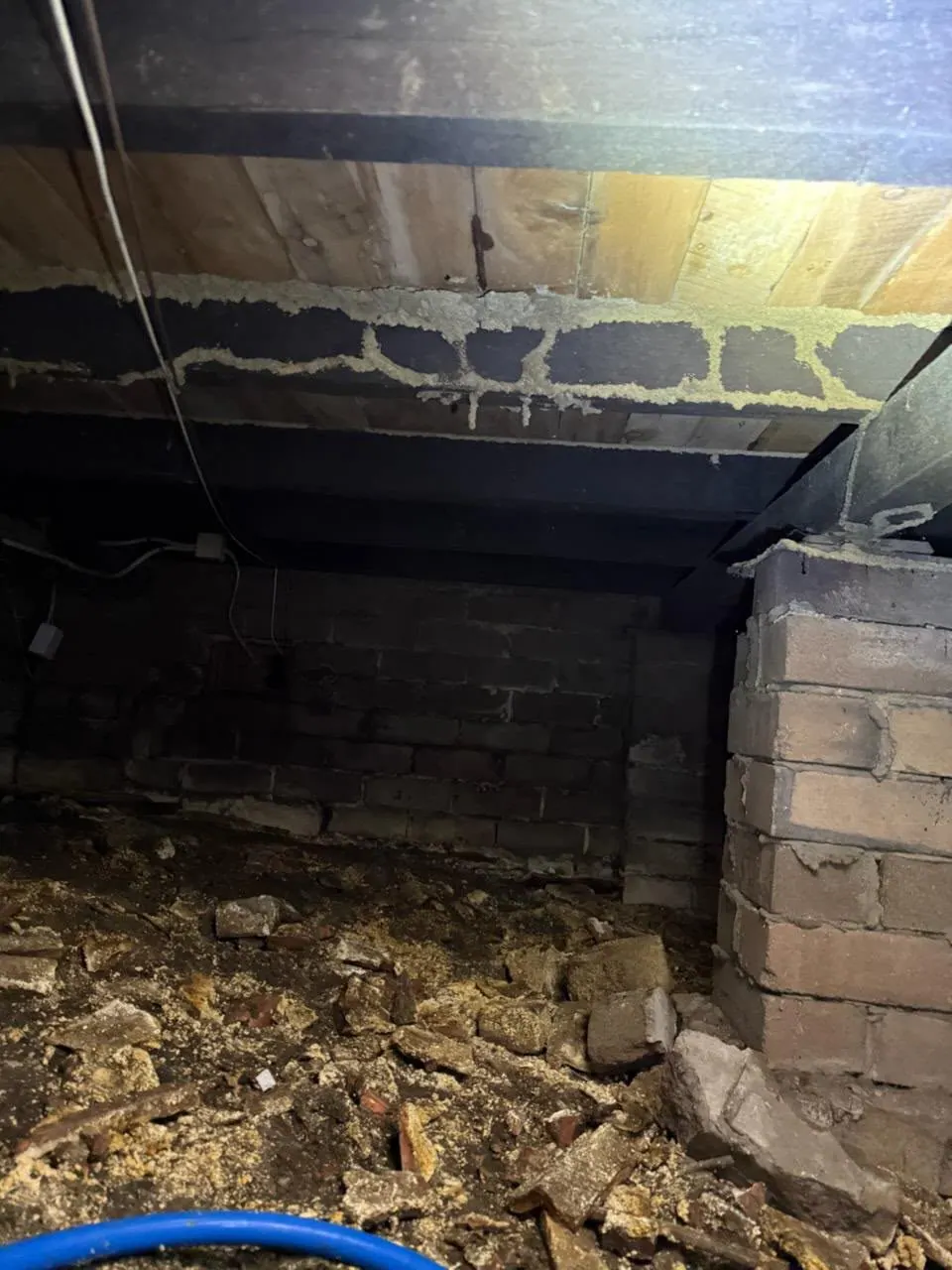 Termite mud workings on the bearers and brick piers of a Sydney subfloor